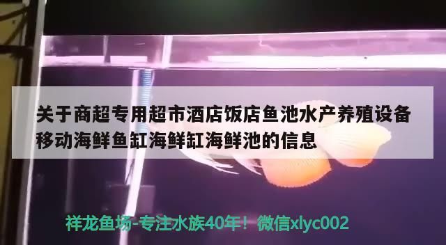 關于商超專用超市酒店飯店魚池水產養殖設備移動海鮮魚缸海鮮缸海鮮池的信息（南京海鮮池廠家喂養海鮮需要哪些設備）