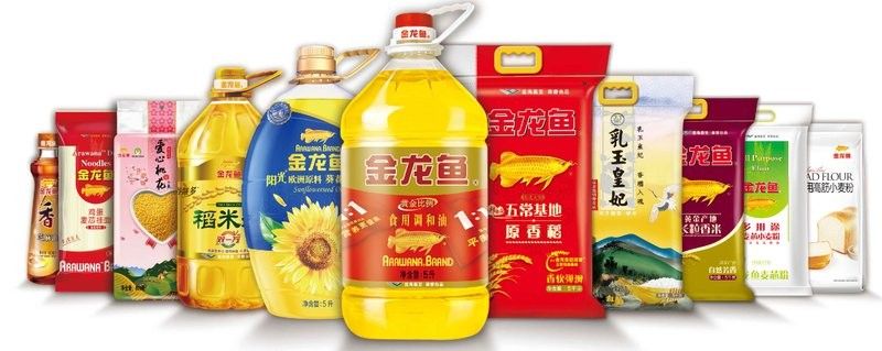 金龍魚如何優化負債結構（金龍魚負債結構優化的挑戰）