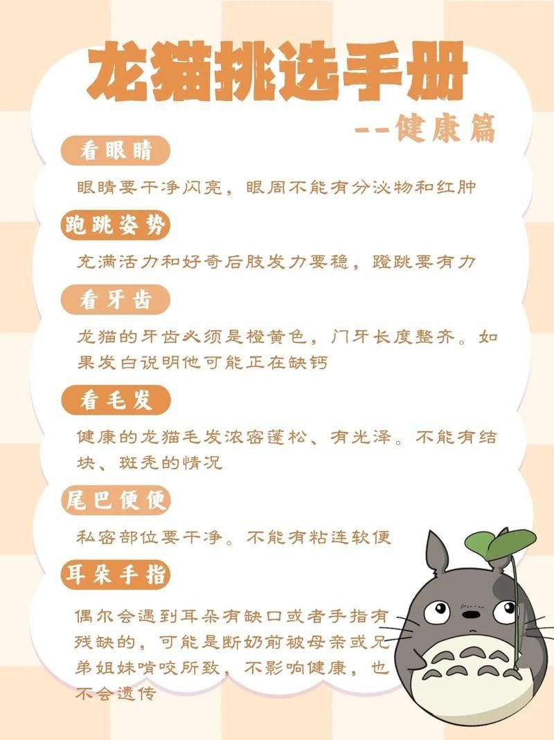 如何挑選健康的龍貓（如何挑選一只健康的龍貓）