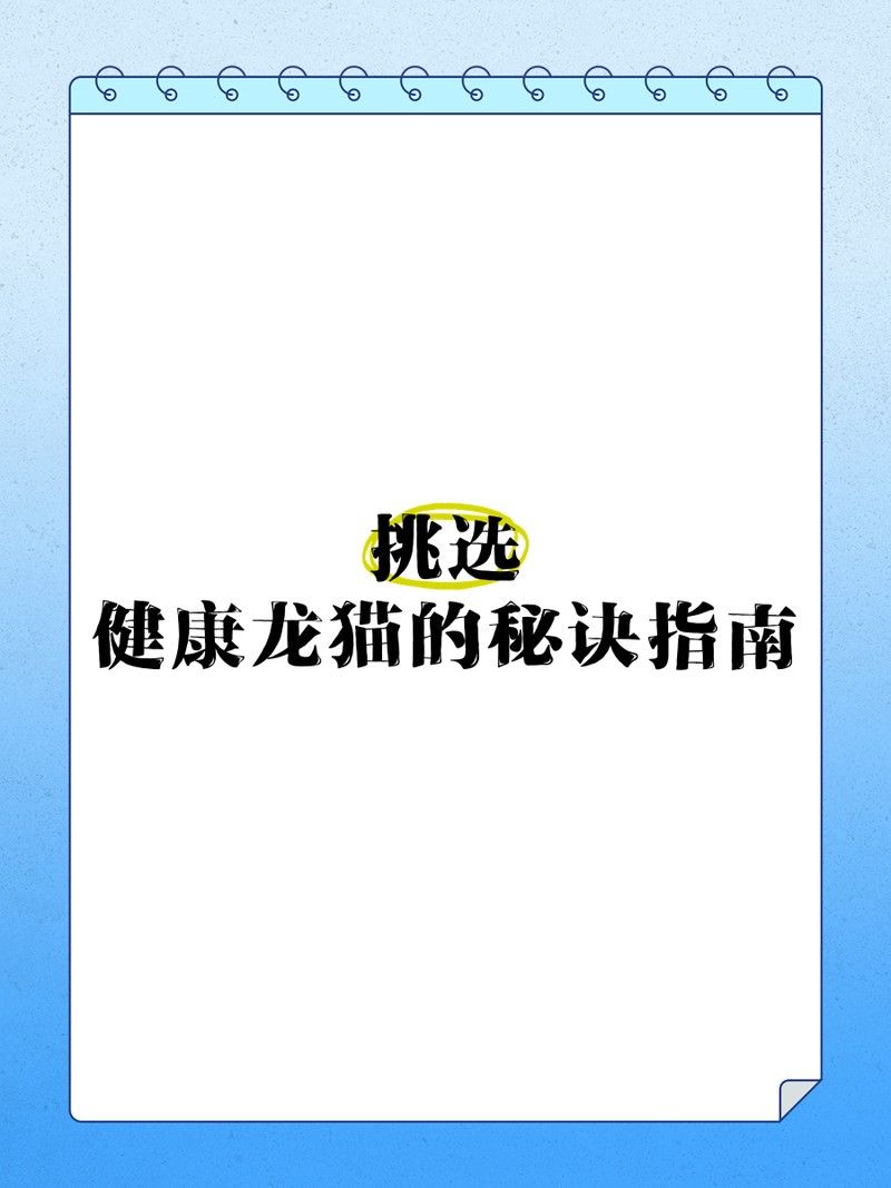 如何挑選健康的龍貓（如何挑選一只健康的龍貓）