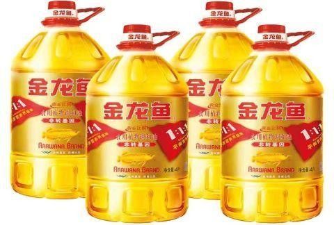 金龍魚標志的設計理念是什么？（金龍魚標志的設計理念是融合傳統與現代，展現中華美食文化的獨特魅力）