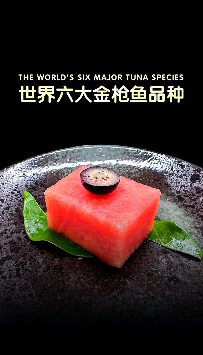 金槍魚有哪些品種？（世界六大金槍魚品種，你嘗過幾種煮湯少加鹽的曉燕聽）