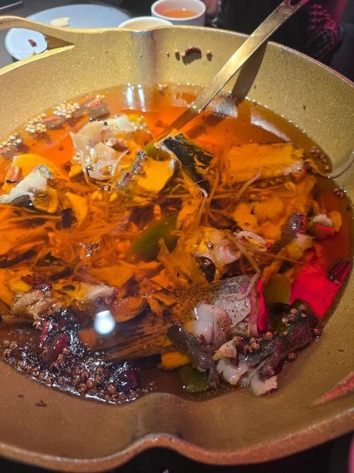 龍人居的水煮魚價(jià)格是多少？（龍人居水煮魚價(jià)格）