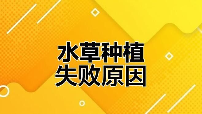 龍魚缸水草種植步驟（魚缸水草總爛根、發黃掌握這5個技巧,新手也能養出“水下森林”）