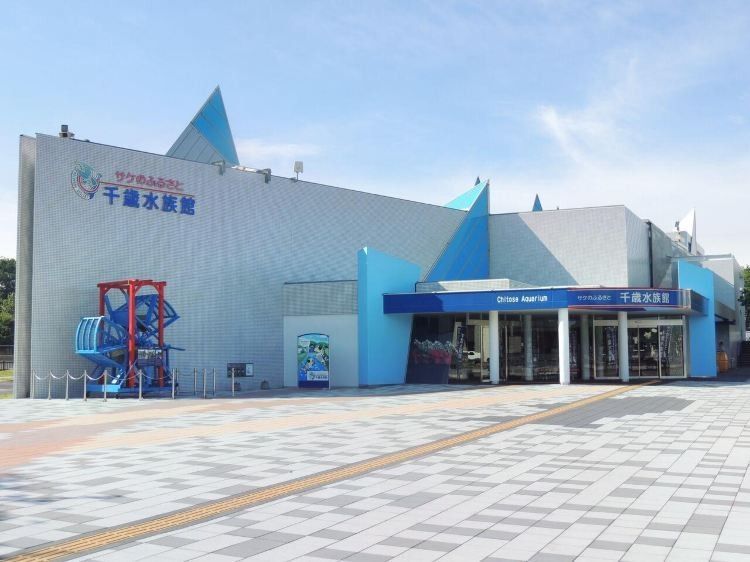龍勝哪個水族館龍魚好？祥龍魚場龍魚（廣州祥龍魚場水族館）