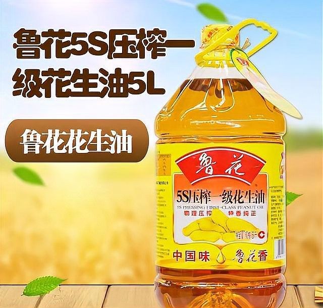 金龍魚是否有計劃引入國內資本（金龍魚是否計劃引入國內資本）