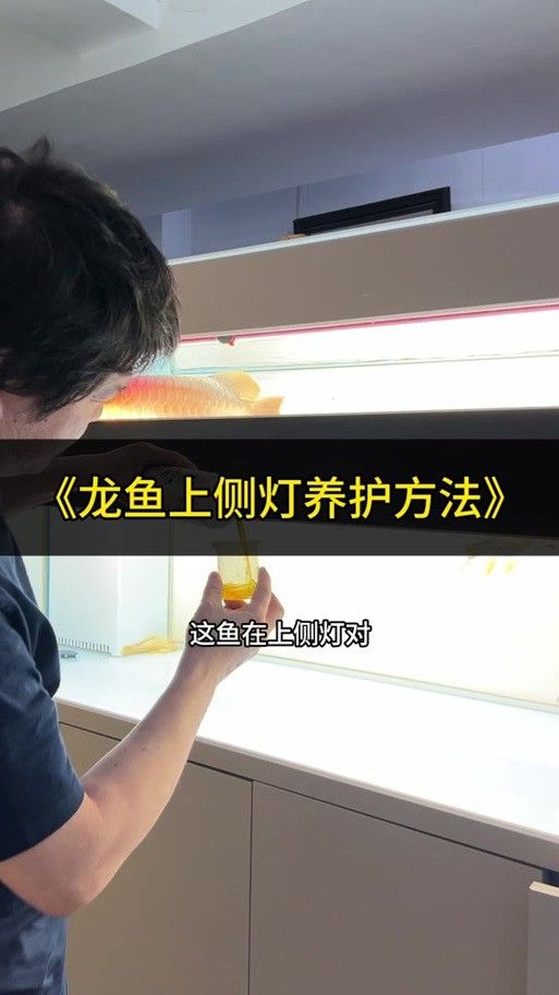 金龍魚燈光多久換一次（——龍魚燈光更換頻率取決于多種因素）