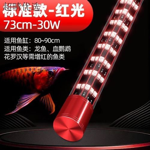 金龍魚燈光多久換一次（——龍魚燈光更換頻率取決于多種因素）