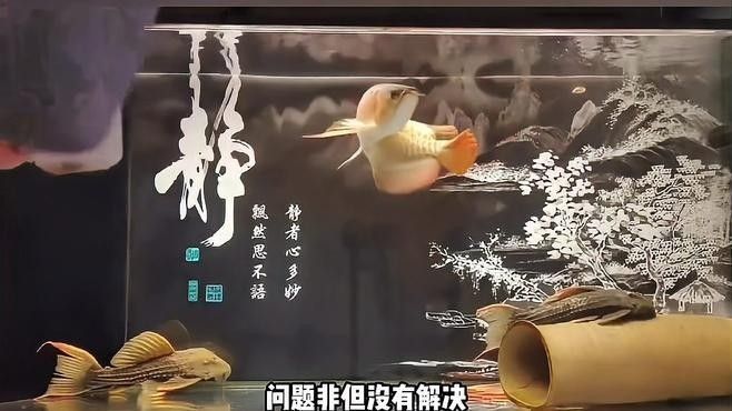 龍魚立鱗恢復后如何護理（龍魚立鱗病恢復后的護理）