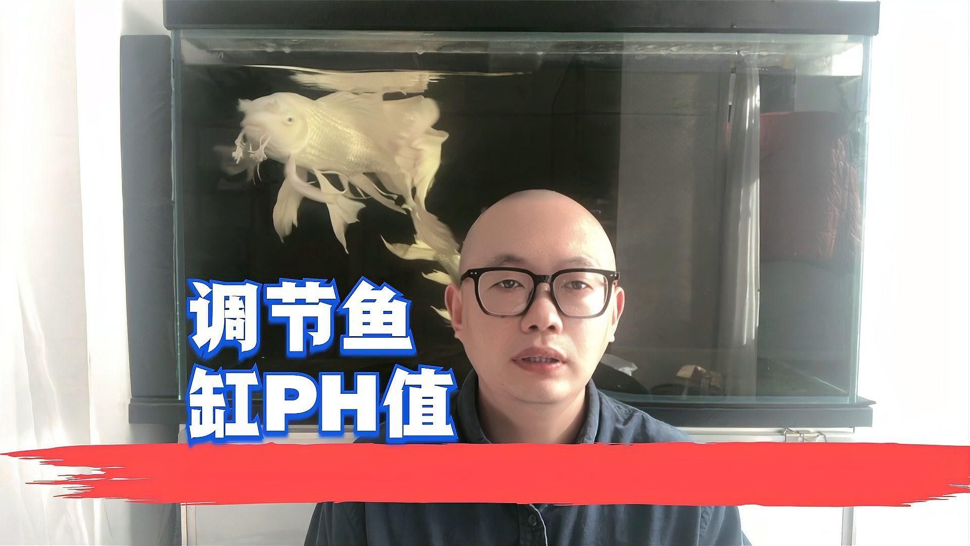 如何調(diào)節(jié)魚缸水的pH值（如何調(diào)節(jié)魚缸ph值）