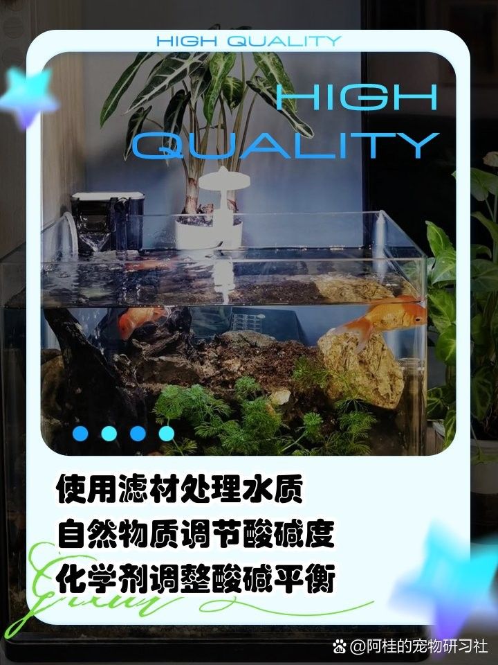 如何調(diào)節(jié)魚缸水的pH值（如何調(diào)節(jié)魚缸ph值）