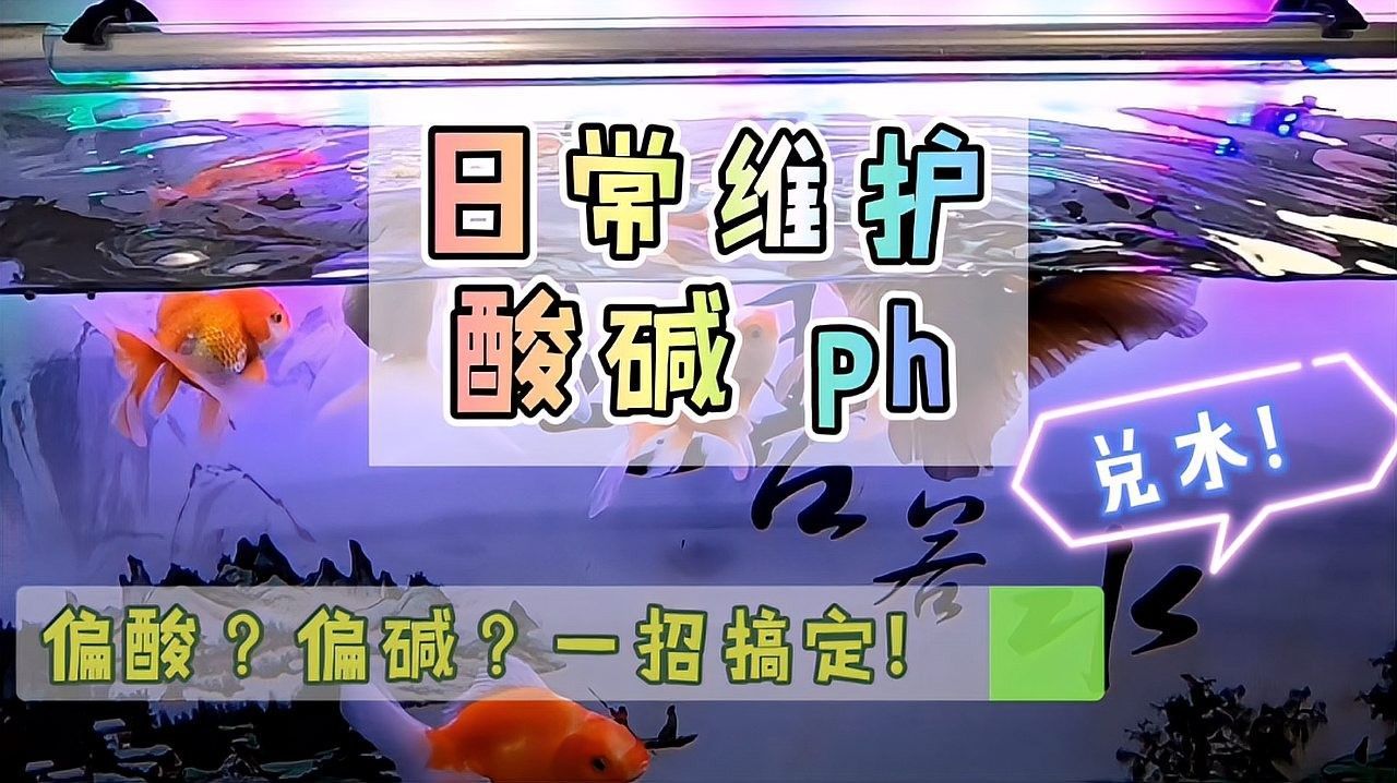 如何調(diào)節(jié)魚缸水的pH值（如何調(diào)節(jié)魚缸ph值）
