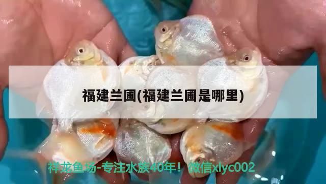 <strong><mark>福建</mark></strong>蘭圃(<strong><mark>福建</mark></strong>蘭圃是哪里)（<strong><mark>福建</mark></strong>蘭圃中轉場地區在過去14日內沒有新冠疫情）