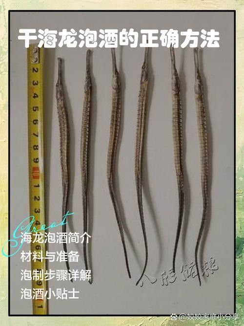 如何判斷海龍魚是否新鮮（判斷海龍魚是否新鮮的標準）