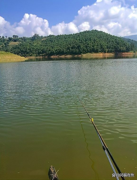 如何快速提升釣魚技能（如何快速提升釣魚技能，學會這八條釣魚技巧，新手變大師）
