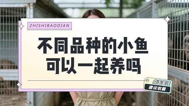 如何選擇適合混養的幼魚（適合混養的幼魚需要考慮幾個關鍵因素以確保魚類健康和生態系統的平衡）