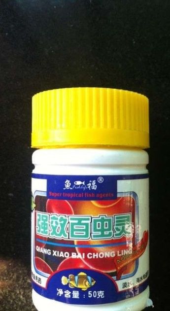 龍魚吃泥鰍需要處理干凈嗎（龍魚吃泥鰍需要處理干凈嗎龍魚吃泥鰍需要處理干凈嗎）