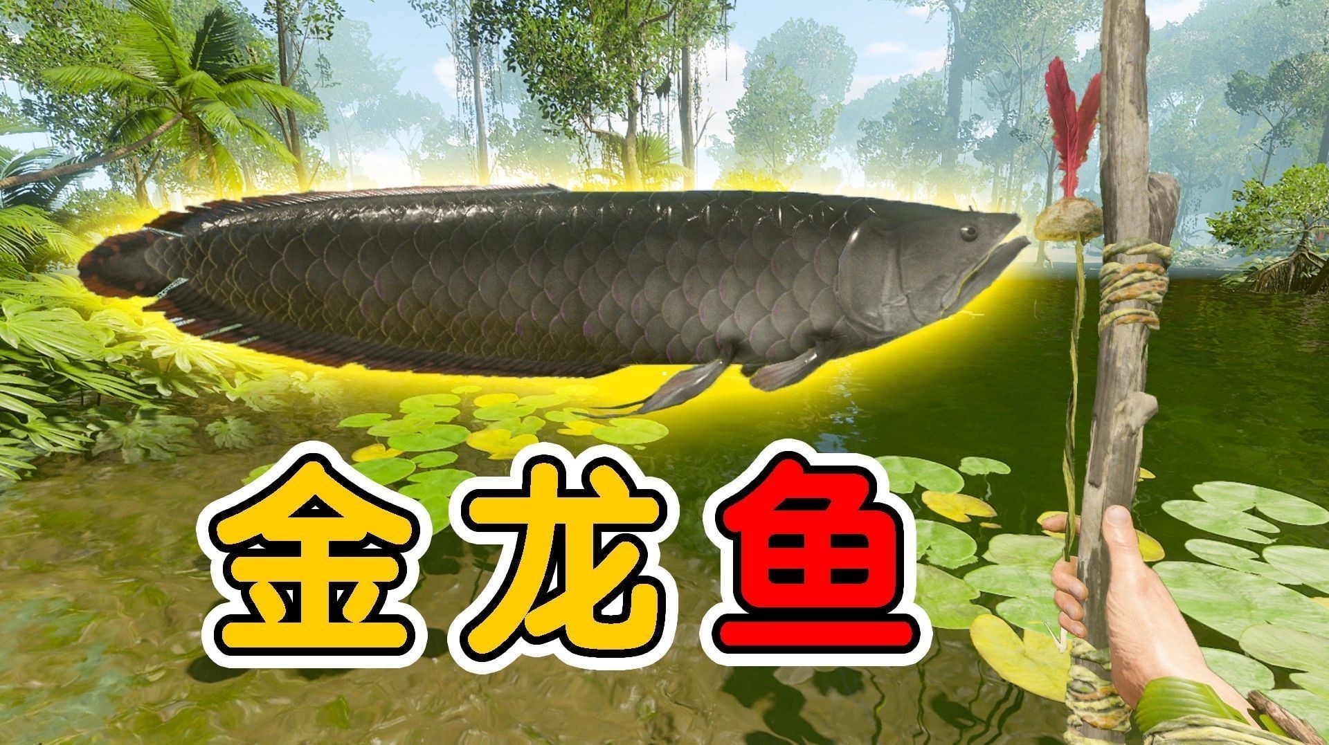 金龍魚釣取需要多長時間（《劍星(星刃)》釣取金龍魚時間和注意事項）