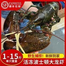 澳龍的價(jià)格是多少？（澳洲龍蝦價(jià)格行情走勢(shì)：澳洲龍蝦價(jià)格行情走勢(shì)(）