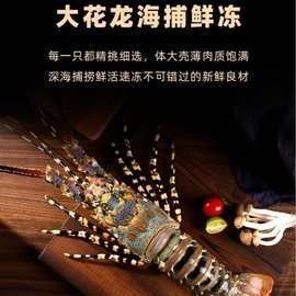 澳龍的價(jià)格是多少？（澳洲龍蝦價(jià)格行情走勢(shì)：澳洲龍蝦價(jià)格行情走勢(shì)(）