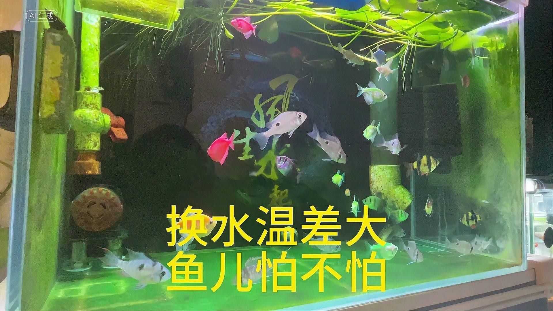 夏季換水如何控制溫差？（夏季如何控制換水時(shí)的溫差）