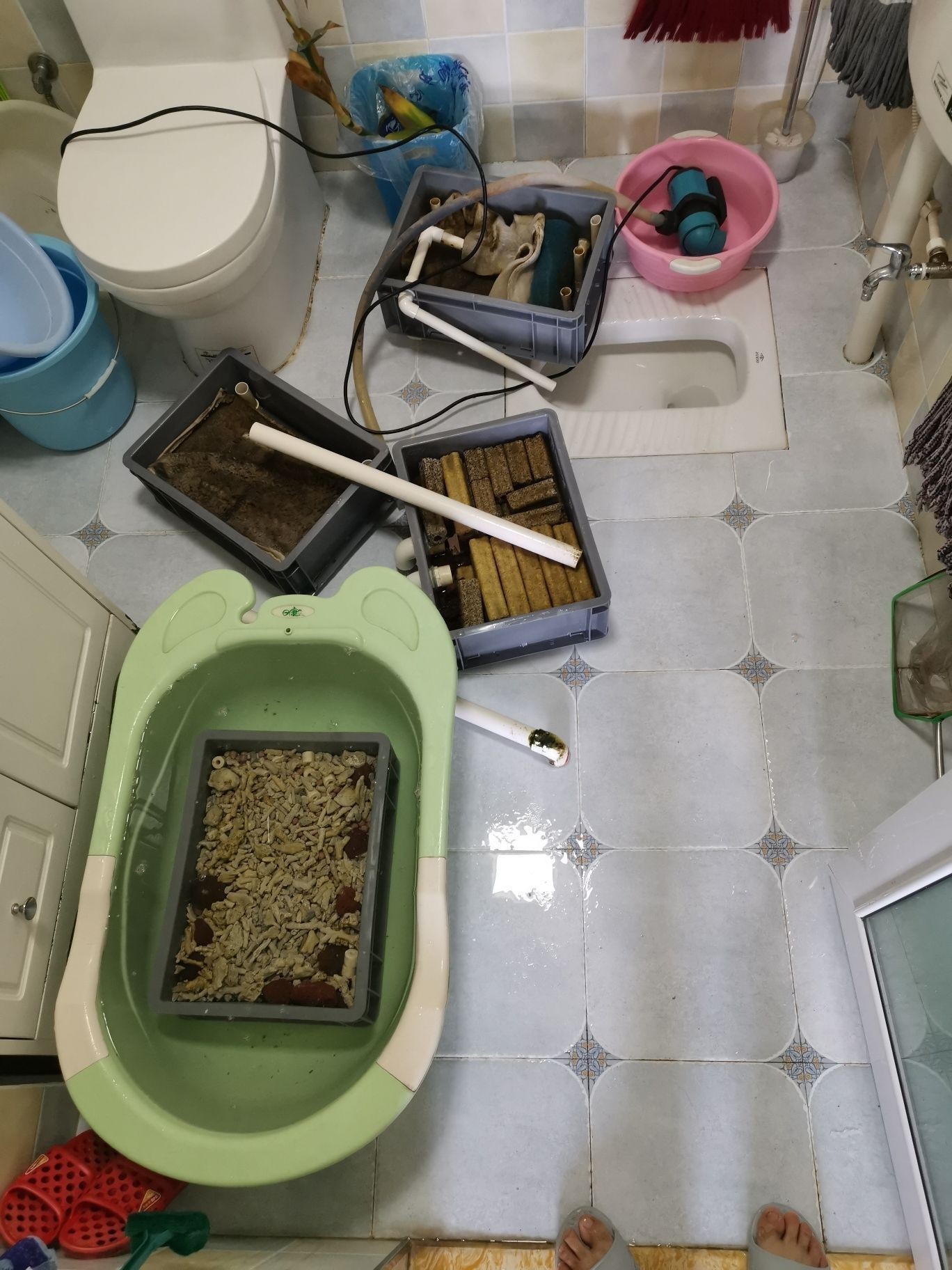 邵陽(yáng)觀賞魚(yú)市場(chǎng)今年最后一個(gè)缸（【邵陽(yáng)觀賞魚(yú)市場(chǎng)今年最后一個(gè)缸】）