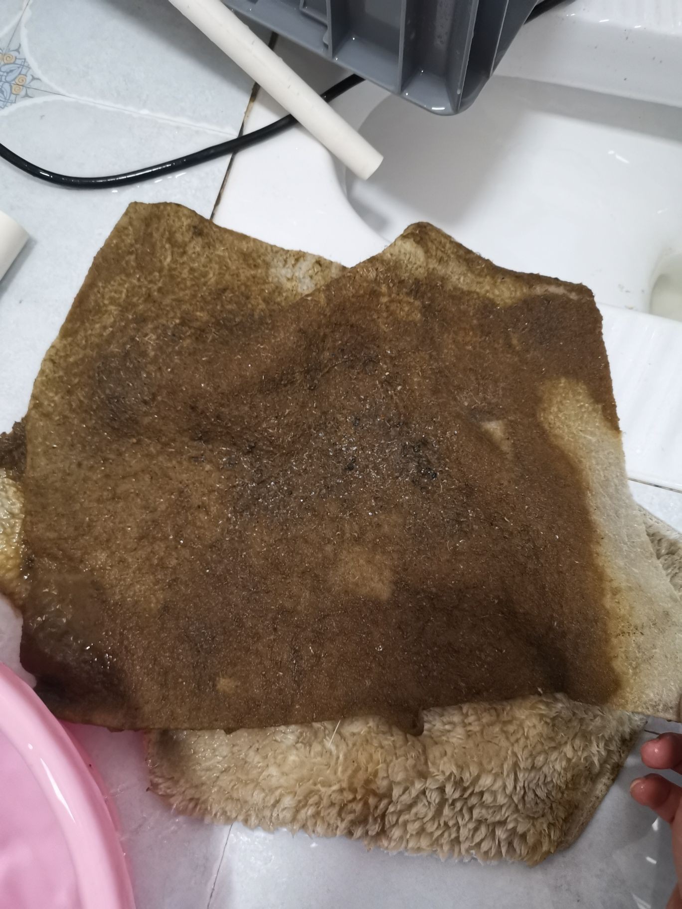 邵陽觀賞魚市場今年最后一個缸（【邵陽觀賞魚市場今年最后一個缸】）