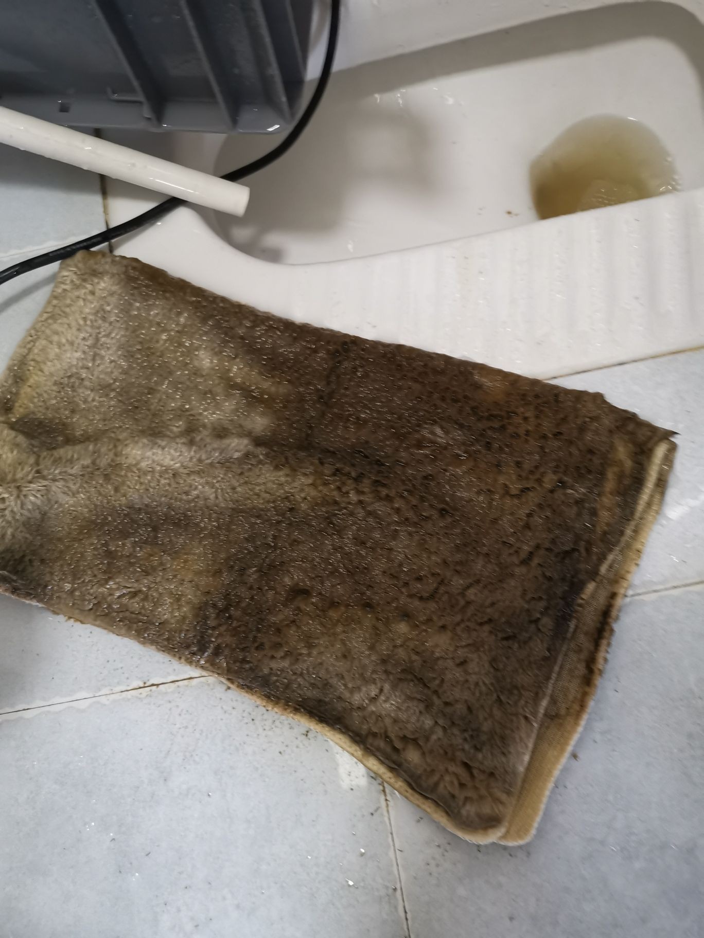 邵陽觀賞魚市場今年最后一個缸（【邵陽觀賞魚市場今年最后一個缸】）