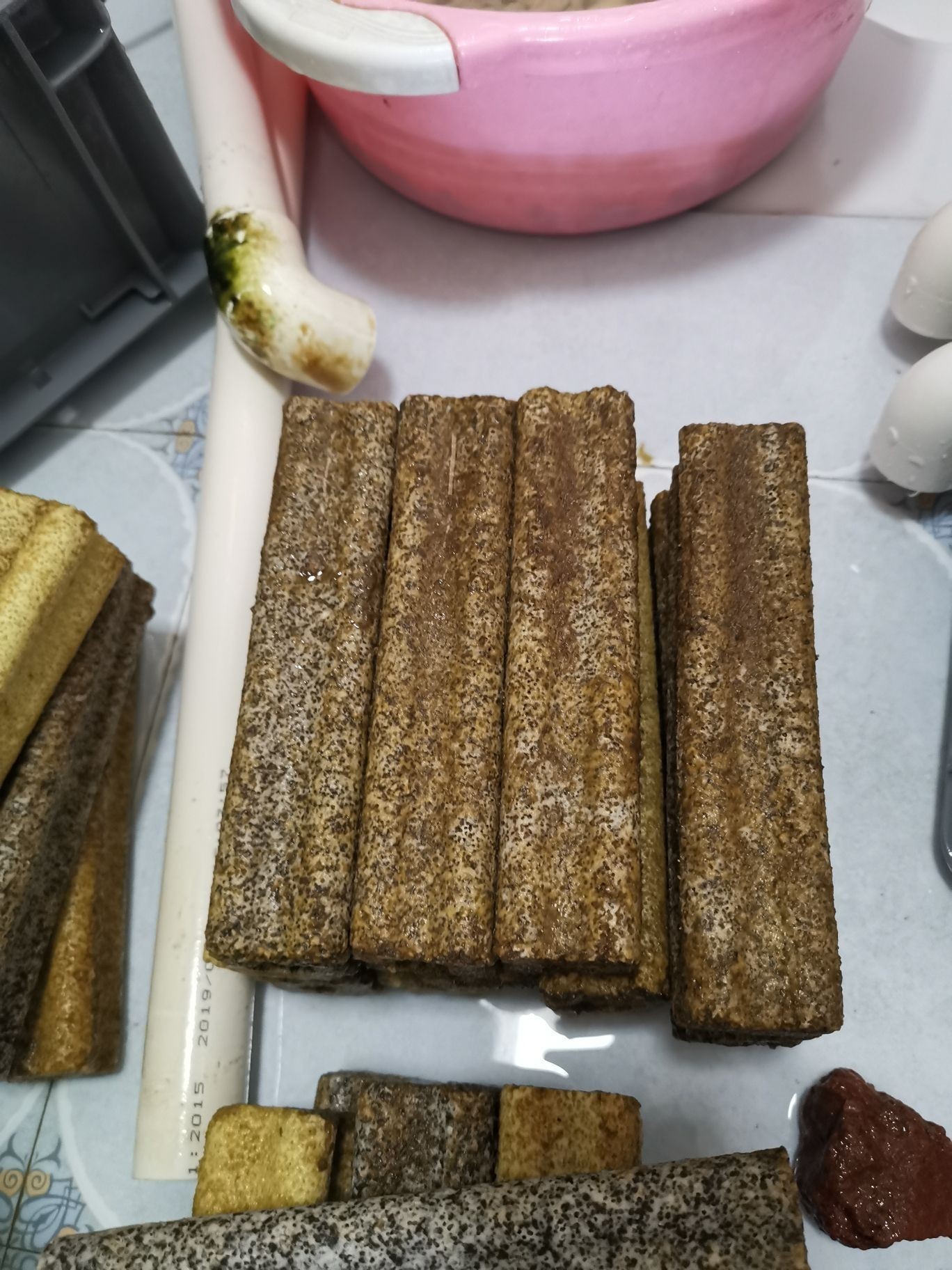 邵陽觀賞魚市場今年最后一個缸（【邵陽觀賞魚市場今年最后一個缸】）