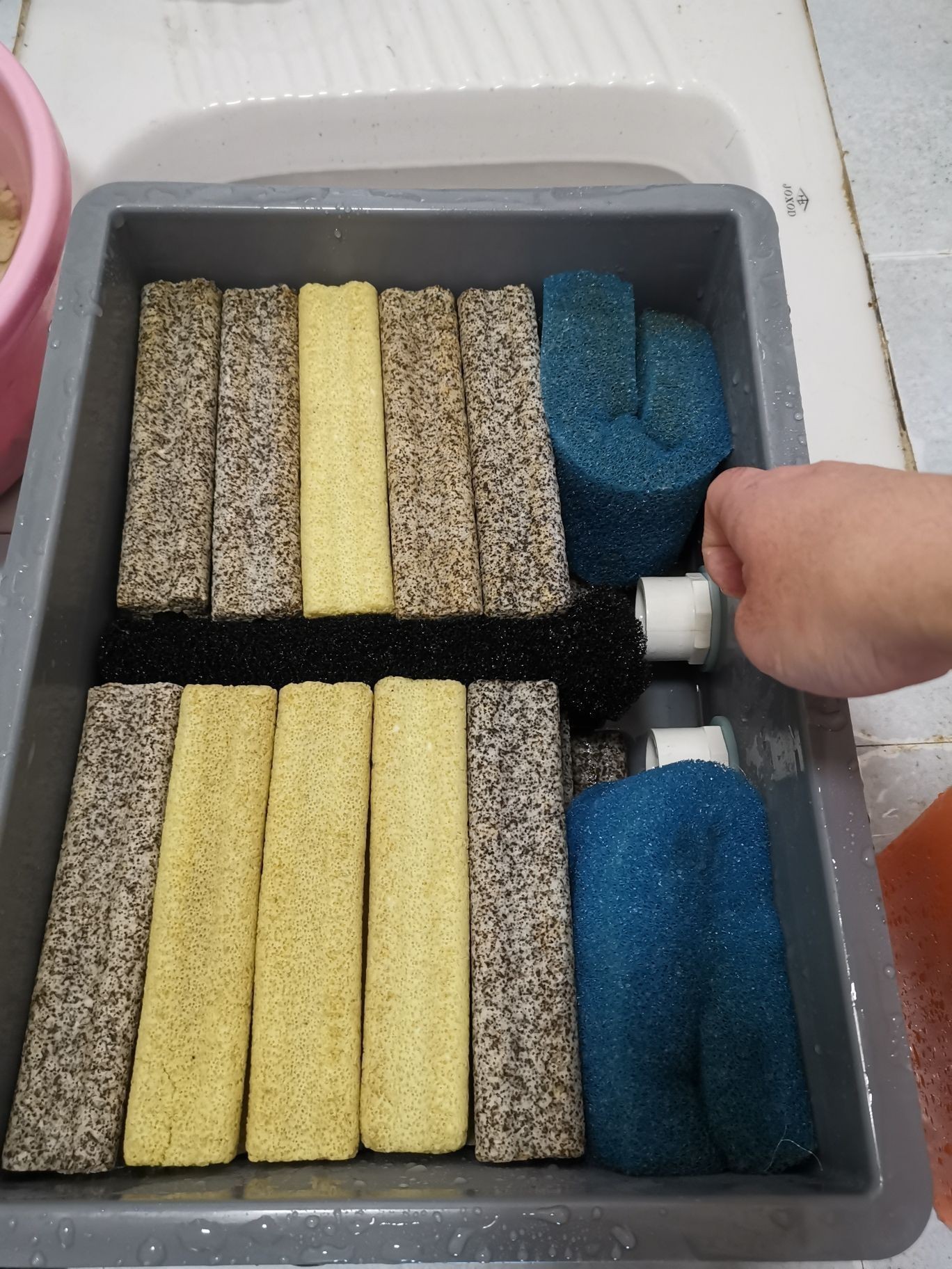 邵陽觀賞魚市場今年最后一個缸（【邵陽觀賞魚市場今年最后一個缸】）