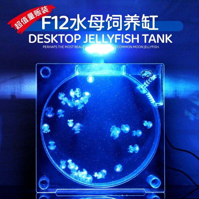 還有哪些地方可以定做魚缸（北京哪里可以定制魚缸）