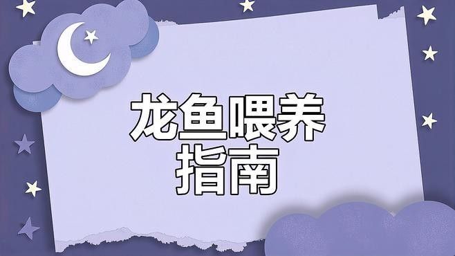 有哪些食物適合恢復期的龍魚？（適合龍魚恢復期的食物）
