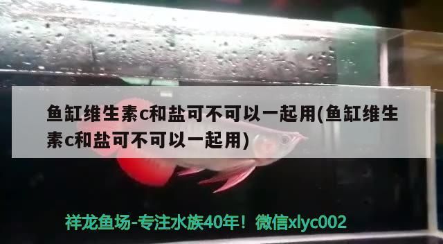 希臘金龍多少錢(qián)一條，我剛?cè)氲凝堲~(yú)，是什么品種（希臘金龍魚(yú)價(jià)格與品種特征）
