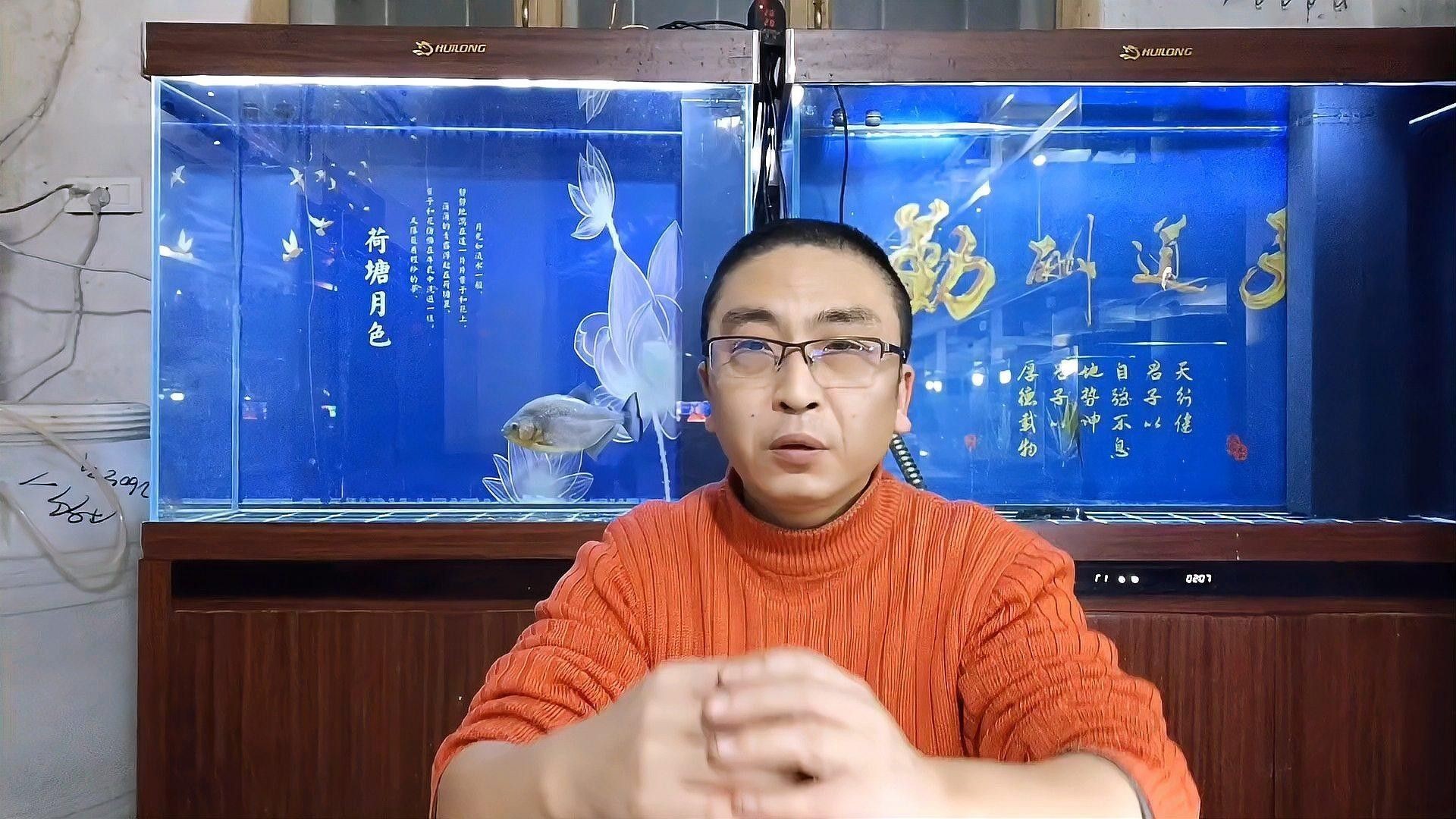 如何設(shè)置龍魚(yú)缸的物理過(guò)濾（如何設(shè)置龍魚(yú)缸物理過(guò)濾系統(tǒng)）