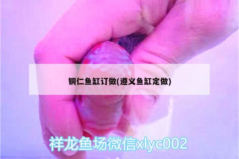 銅仁魚缸訂做(遵義魚缸定做)（銅仁魚缸定做和遵義魚缸定做）
