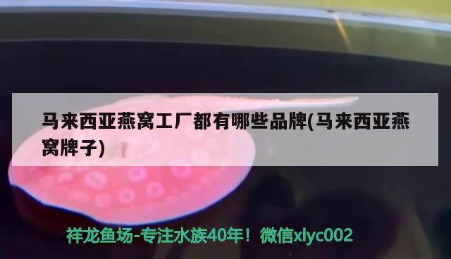 馬來西亞燕窩工廠都有哪些品牌(馬來西亞燕窩牌子)（馬來西亞燕窩工廠有哪些品牌和馬來西亞燕窩工廠都有哪些品牌）