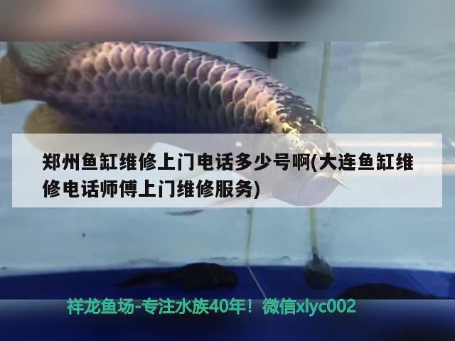 鄭州魚缸維修上門電話多少號啊(大連魚缸維修電話師傅上門維修服務)（鄭州魚缸維修）