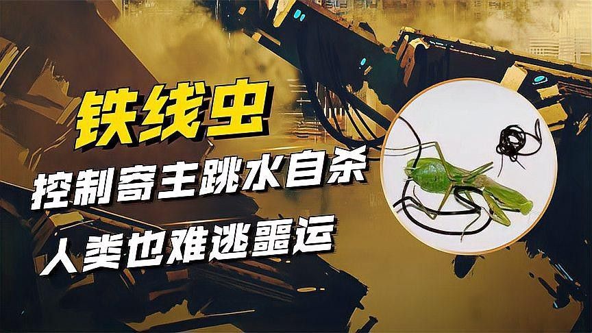 如何消毒昆蟲類活餌，避免細菌感染