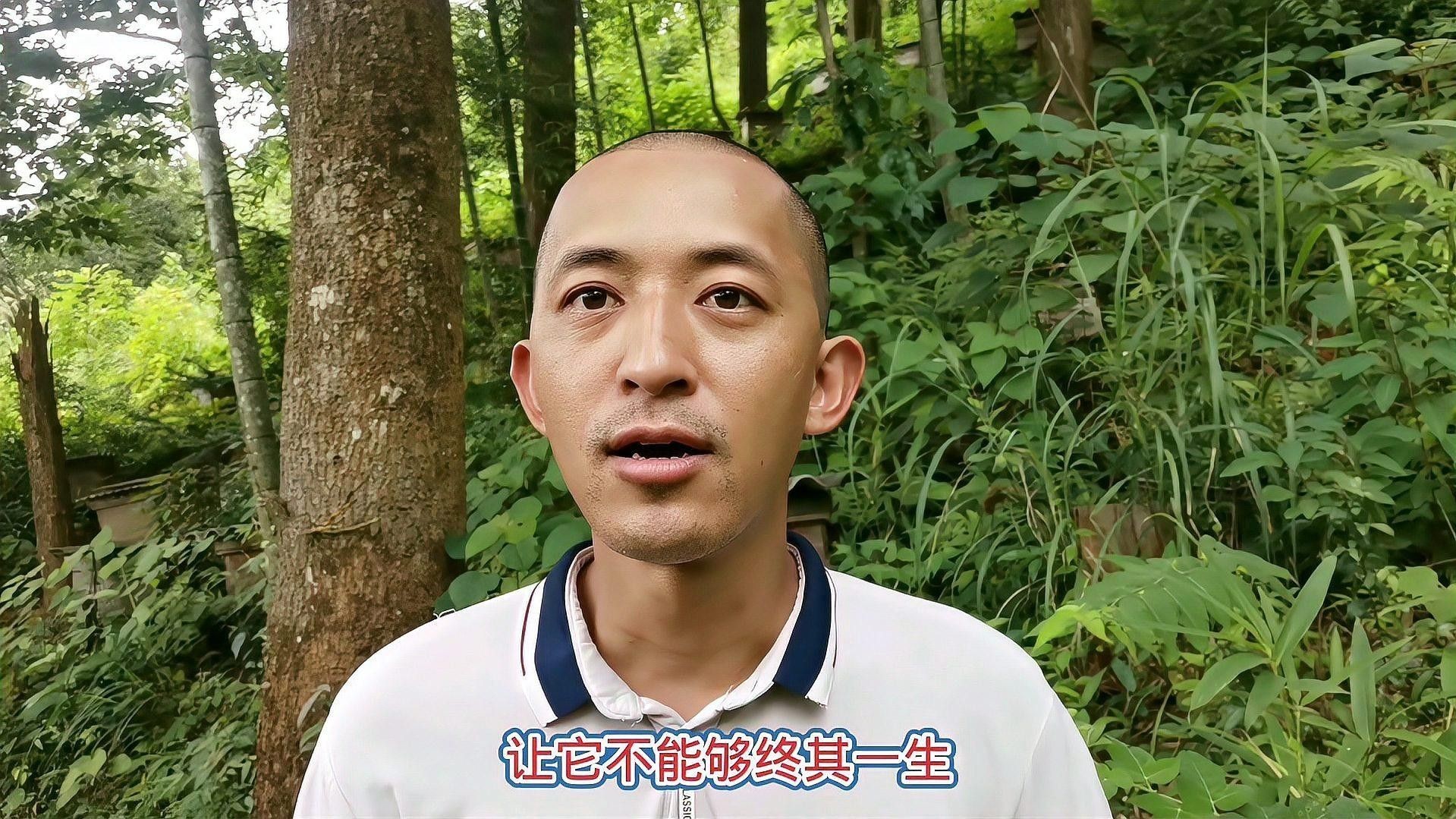 如何消毒昆蟲類活餌，避免細菌感染