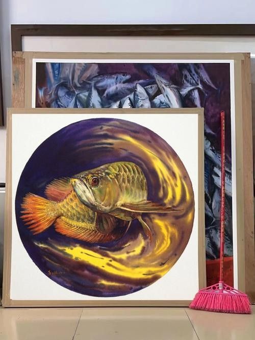 給我更多大海龍魚的圖片（大海龍魚圖片資源及相關信息）