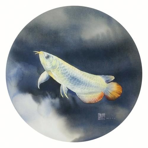 給我更多大海龍魚的圖片（大海龍魚圖片資源及相關信息）