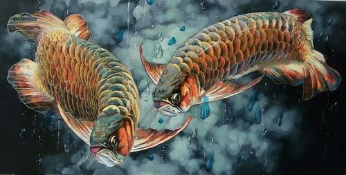 給我更多大海龍魚的圖片（大海龍魚圖片資源及相關信息）