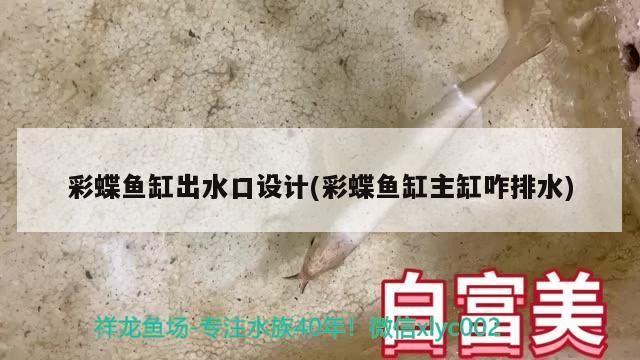 彩蝶魚缸出水口設計(彩蝶魚缸主缸咋排水)（彩蝶魚缸主缸出水口設計）