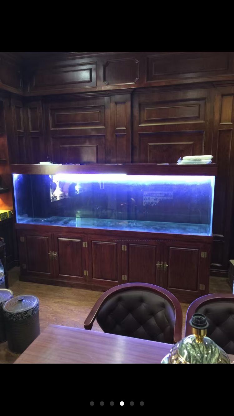 金晶超白玻璃龍缸 金晶超白玻璃龍缸 觀賞魚百科 第4張