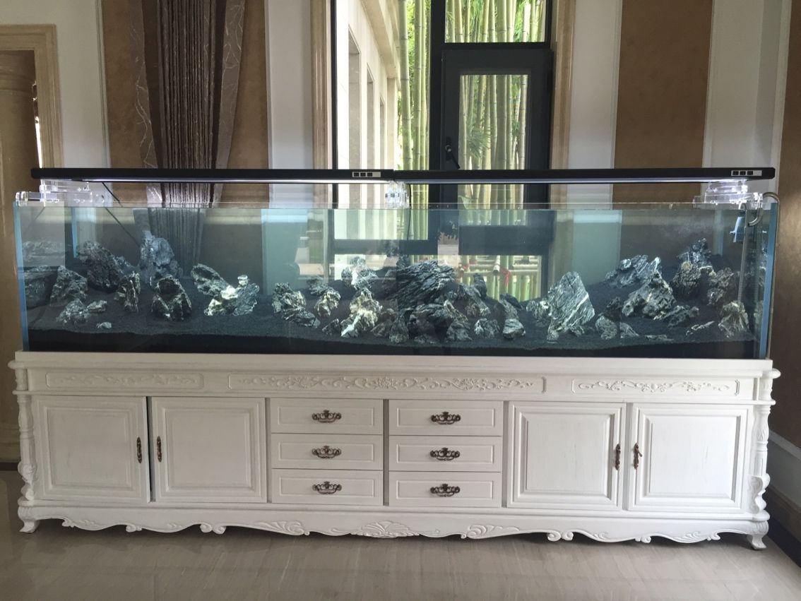 金晶超白玻璃龍缸 金晶超白玻璃龍缸 觀賞魚百科 第9張