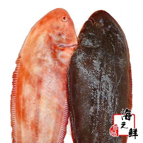 丹東金龍魚的主要產品有哪些（東金龍魚食品有限公司）