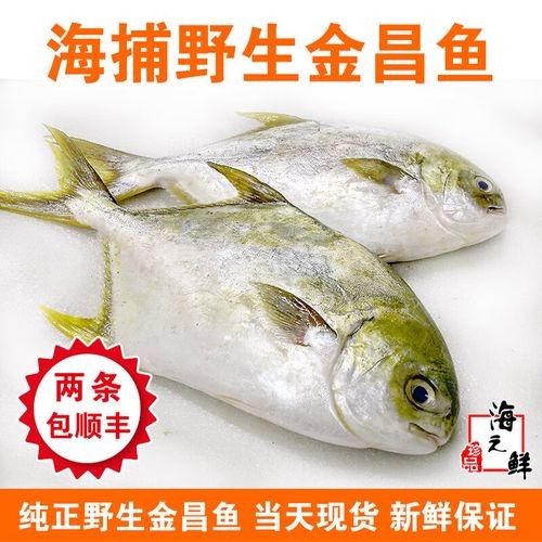 丹東金龍魚的主要產品有哪些（東金龍魚食品有限公司）