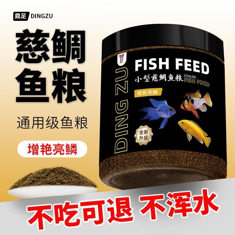 紅龍魚苗的價格是多少（紅龍魚的價格是多少）