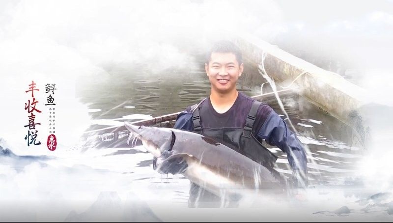 <strong><mark>黔南州</mark></strong>還有哪些龍魚養殖基地？（貴州南州鱘魚養殖基地）