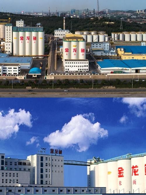 如何聯(lián)系益海嘉里廣州糧油公司？（如何通過官網(wǎng)獲取益海嘉里廣州糧油公司的聯(lián)系方式？）